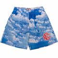 EE Eric Emanuel Men Beach Board Shorts fitness Training Workout Sport Short Pants Summer Gym Jogging Mesh Casual Shorts